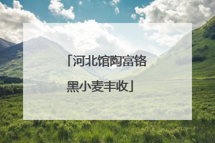 河北馆陶富铬黑小麦丰收