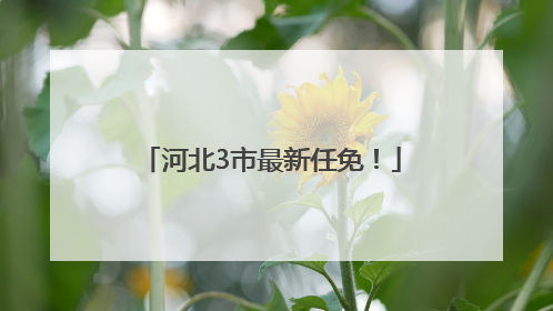 河北3市最新任免！