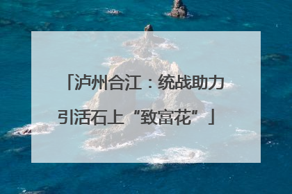 泸州合江：统战助力引活石上“致富花”