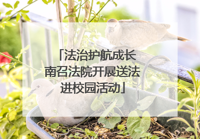 法治护航成长 南召法院开展送法进校园活动