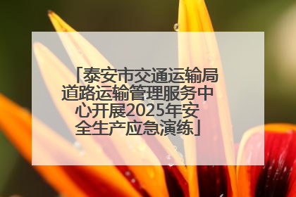 泰安市交通运输局道路运输管理服务中心开展2025年安全生产应急演练