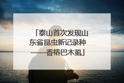 泰山首次发现山东省昆虫新记录种——香椿巴木虱