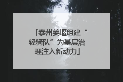 泰州姜堰组建“轻骑队”为基层治理注入新动力