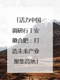 活力中国调研行丨安徽合肥：打造未来产业聚集高地