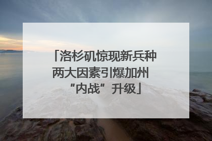 洛杉矶惊现新兵种 两大因素引爆加州“内战”升级