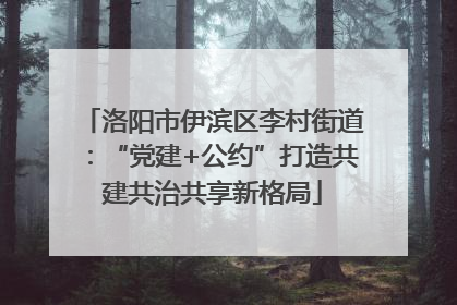 洛阳市伊滨区李村街道：“党建+公约”打造共建共治共享新格局