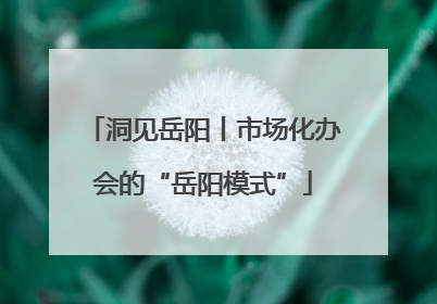 洞见岳阳丨市场化办会的“岳阳模式”