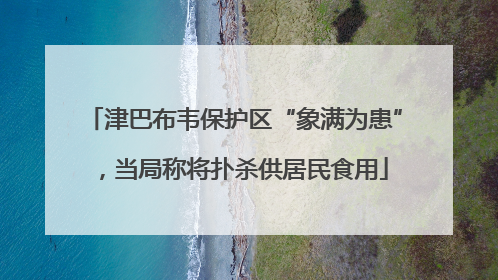 津巴布韦保护区“象满为患”，当局称将扑杀供居民食用