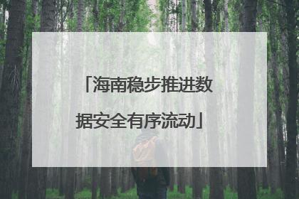 海南稳步推进数据安全有序流动
