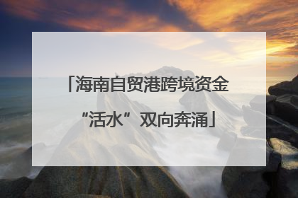 海南自贸港跨境资金“活水”双向奔涌