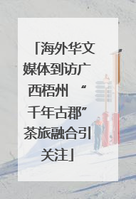 海外华文媒体到访广西梧州 “千年古郡”茶旅融合引关注
