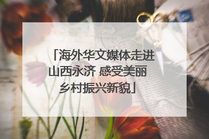 海外华文媒体走进山西永济 感受美丽乡村振兴新貌