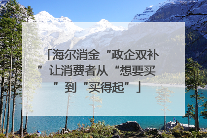 海尔消金“政企双补”让消费者从“想要买”到“买得起”