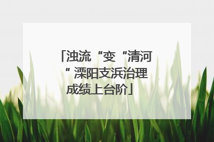浊流“变“清河“ 溧阳支浜治理成绩上台阶