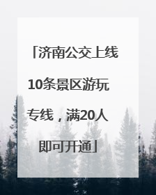 济南公交上线10条景区游玩专线，满20人即可开通
