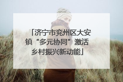 济宁市兖州区大安镇“多元协同”激活乡村振兴新动能