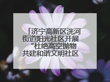 济宁高新区洸河街道阳光社区开展“杜绝高空抛物 共建和谐文明社区”宣传活动