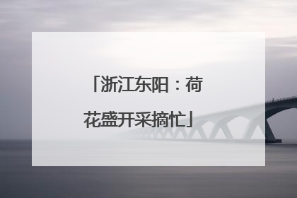 浙江东阳：荷花盛开采摘忙