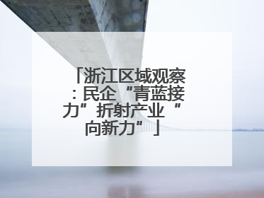 浙江区域观察：民企“青蓝接力”折射产业“向新力”