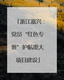 浙江嘉兴：党员“红色专班”护航重大项目建设