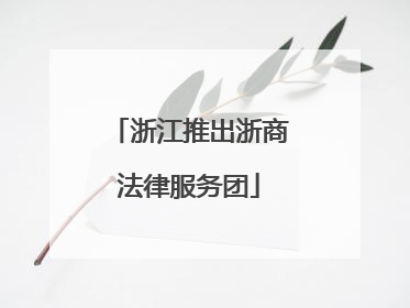 浙江推出浙商法律服务团