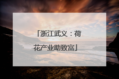 浙江武义：荷花产业助致富