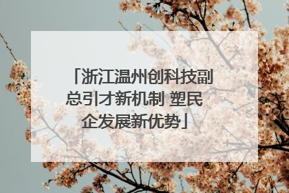 浙江温州创科技副总引才新机制 塑民企发展新优势