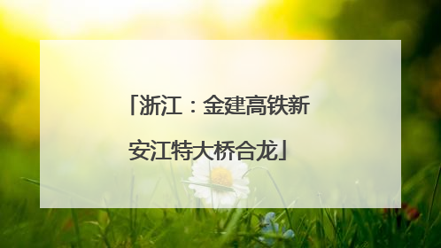 浙江：金建高铁新安江特大桥合龙