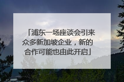 浦东一场座谈会引来众多新加坡企业，新的合作可能也由此开启