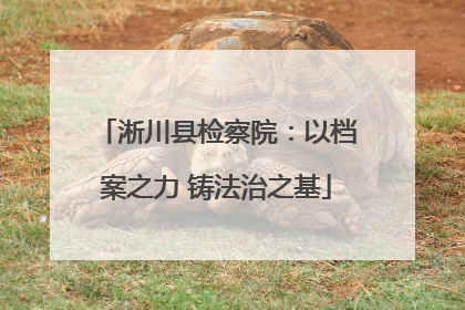 淅川县检察院：以档案之力 铸法治之基