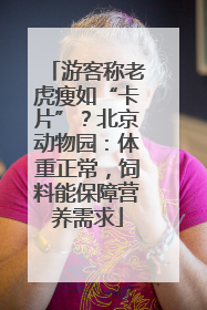 游客称老虎瘦如“卡片”？北京动物园：体重正常，饲料能保障营养需求
