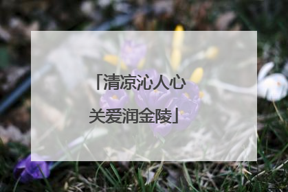 清凉沁人心 关爱润金陵