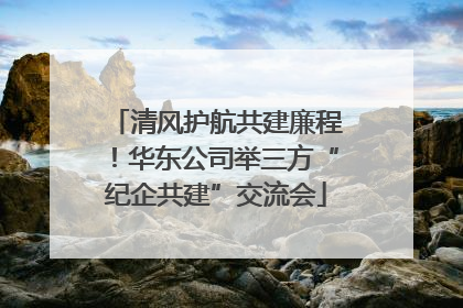 清风护航共建廉程！华东公司举三方“纪企共建”交流会