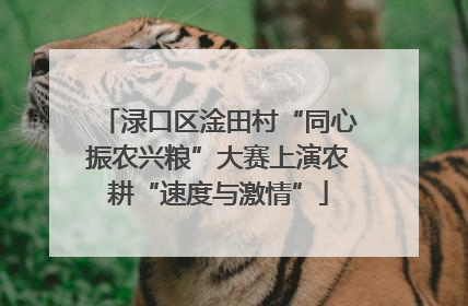 渌口区淦田村“同心振农兴粮”大赛上演农耕“速度与激情”
