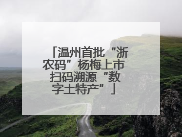 温州首批“浙农码”杨梅上市 扫码溯源“数字土特产”