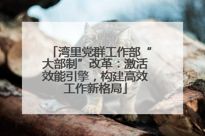 湾里党群工作部“大部制”改革：激活效能引擎，构建高效工作新格局