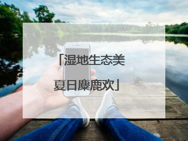湿地生态美 夏日麋鹿欢