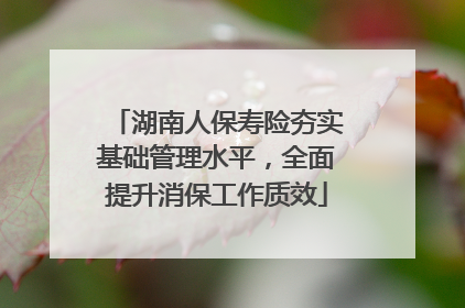 湖南人保寿险夯实基础管理水平，全面提升消保工作质效