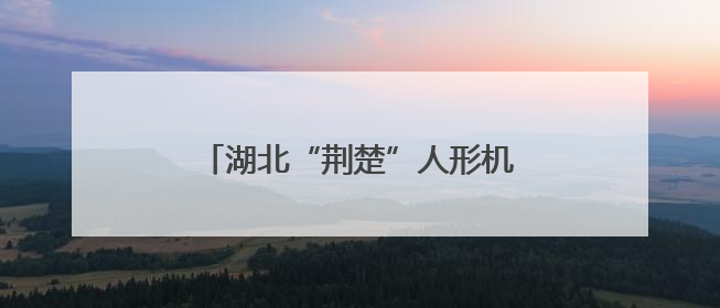 湖北“荆楚”人形机器人公司落户武昌
