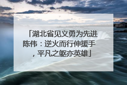 湖北省见义勇为先进陈伟：逆火而行伸援手，平凡之躯亦英雄
