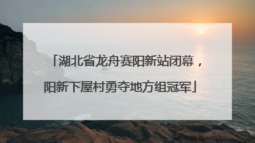 湖北省龙舟赛阳新站闭幕，阳新下屋村勇夺地方组冠军