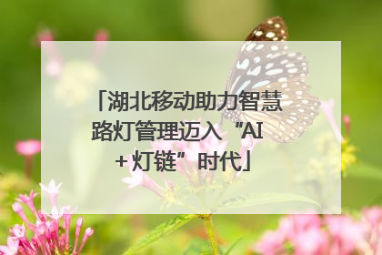 湖北移动助力智慧路灯管理迈入“AI＋灯链”时代