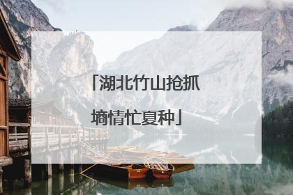 湖北竹山抢抓墒情忙夏种
