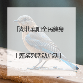 湖北襄阳全民健身主题系列活动启动