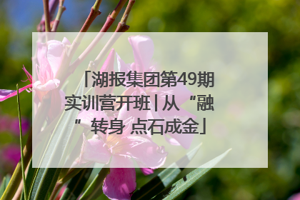 湖报集团第49期实训营开班│从“融”转身 点石成金
