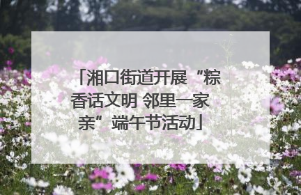 湘口街道开展“粽香话文明 邻里一家亲”端午节活动