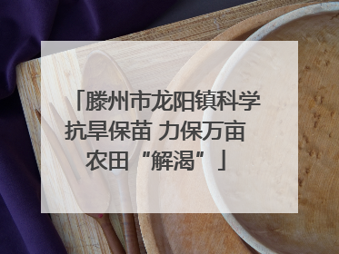 滕州市龙阳镇科学抗旱保苗 力保万亩农田“解渴”