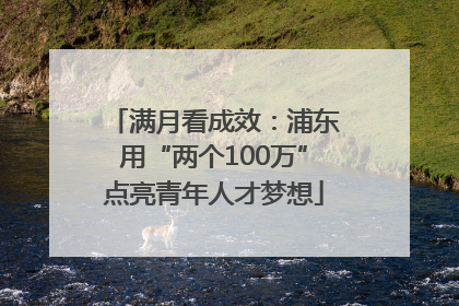 满月看成效：浦东用“两个100万”点亮青年人才梦想