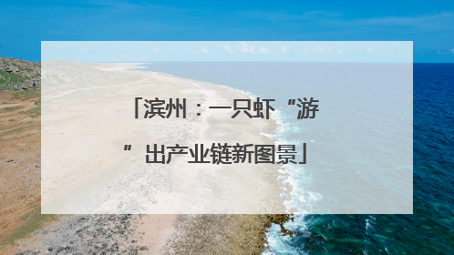 滨州：一只虾“游”出产业链新图景