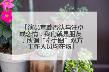 演员宣璐否认与汪卓成恋情：我们就是朋友，所谓“牵手图”双方工作人员均在场
